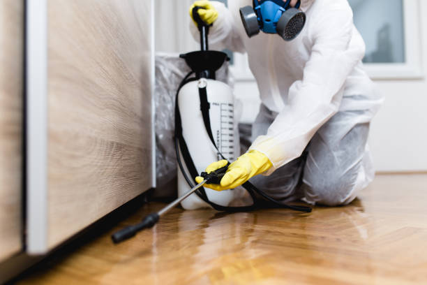 Best Local Pest Control Services  in Buckner, MO