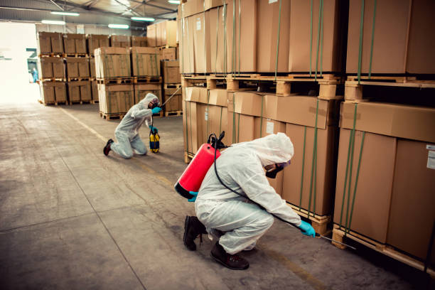 Best Pest Inspection Near Me  in Buckner, MO