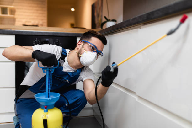 Best Best Pest Control Companies  in Buckner, MO